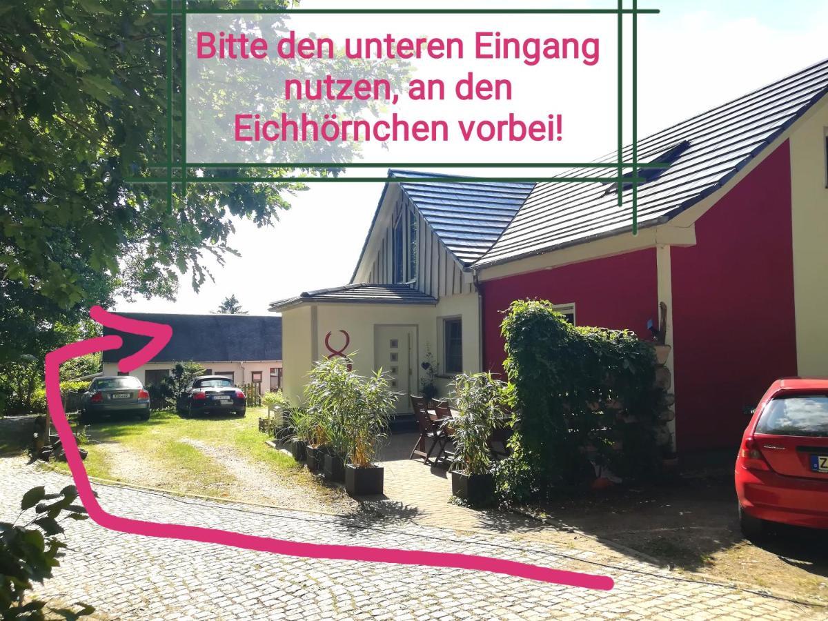 Kleines Studio Im Eichenwaeldchen, 1 Zimmer Kueche Bad Friedrichsgrun Exterior photo